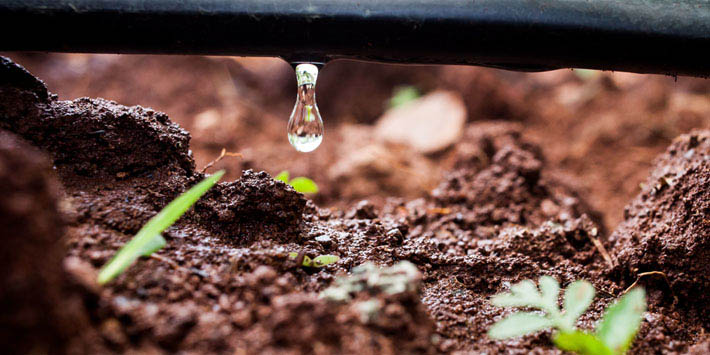 irigare prin picurare