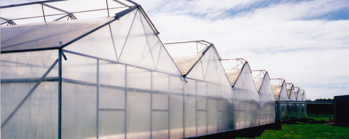 sere si solarii modulare