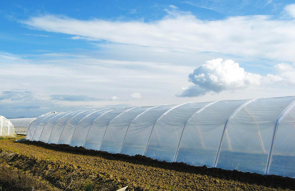 Folie solar profesională