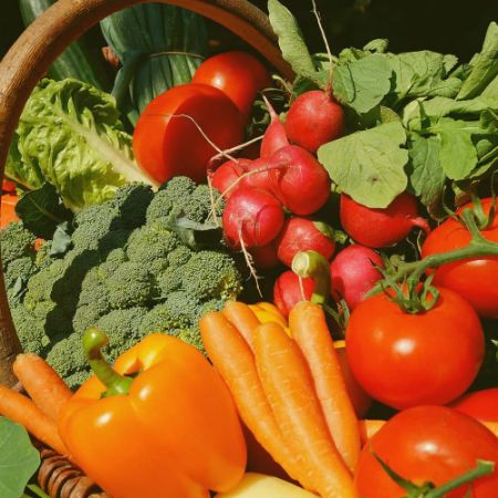 Poza pentru categoria Seminte de legume