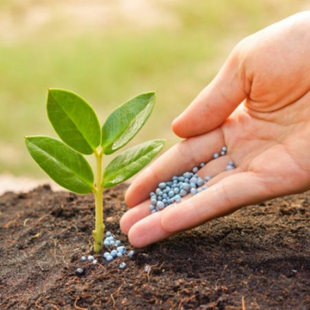 Poza pentru categoria Ingrasaminte