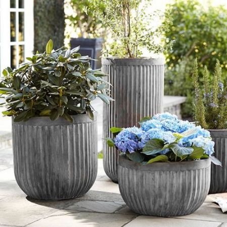 Poza pentru categoria Ghivece