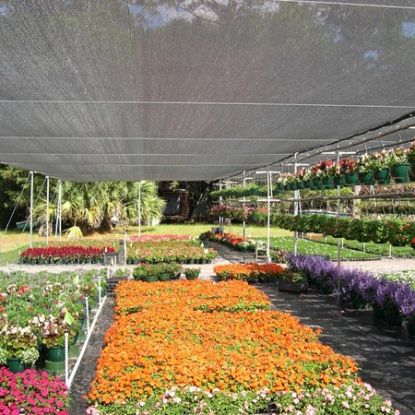 Plasă de Umbrire 35%