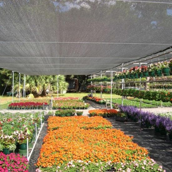 Poza cu Plasă de Umbrire 35%