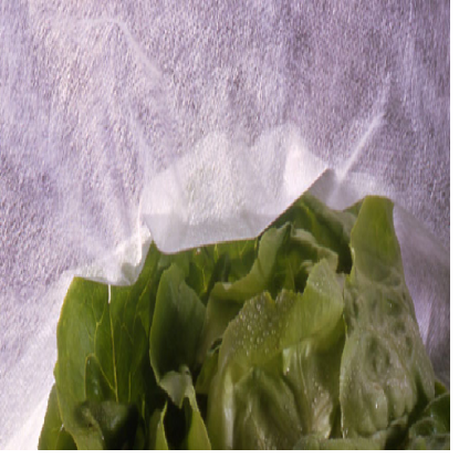 Poza cu Folie Microporoasa Antiinghet 23 gr/mp - Agril