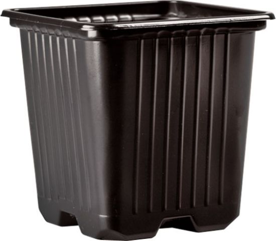 Poza cu Pahar Rasad - 8 x 8 x 7