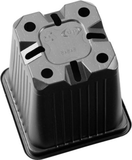 Poza cu Pahar Rasad - 9 x 9 x 8 PP