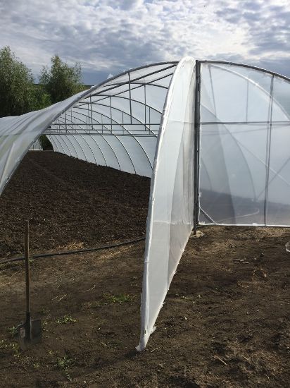 Poza cu Folie Solarii - 180 microni Spania