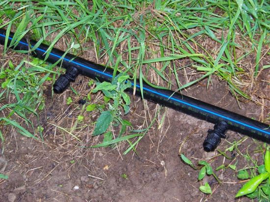 Poza cu Teava pentru Sistemele de Irigatie 6 atm