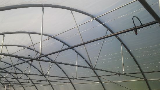 Poza cu Irigare prin microaspersie si ceata 