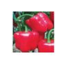 Poza cu Seminte de ardei gras rosu Aktor F1