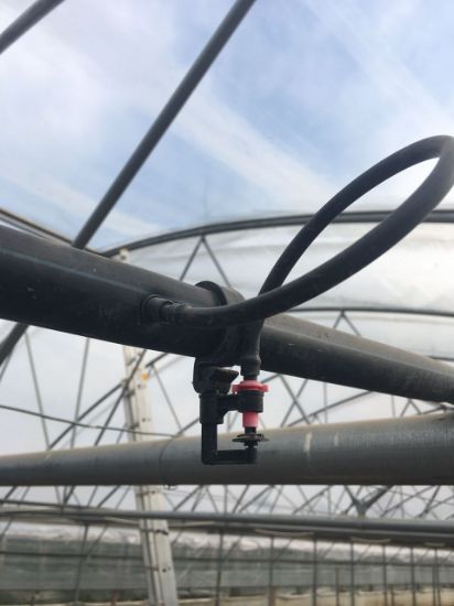 Poza cu Irigare prin microaspersie si ceata 