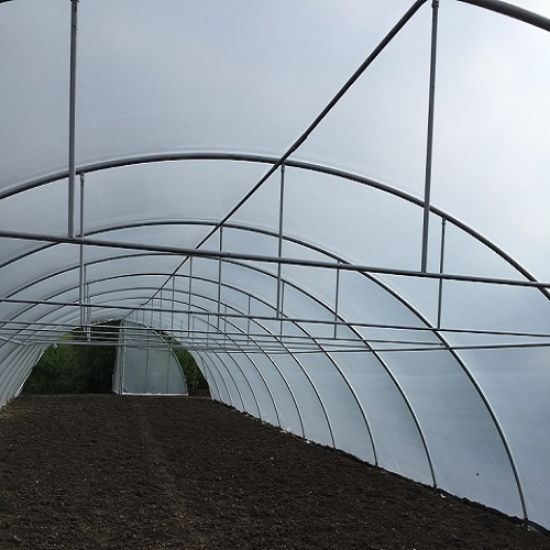 Poza cu Folie Solarii - 180 microni Spania