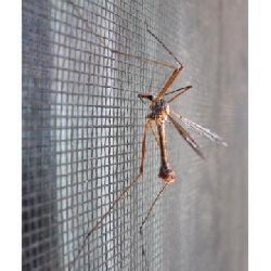 Poza cu Plasa contra insectelor