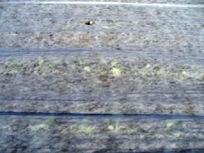 Poza cu Folie Microporoasa Antiinghet Agril 19 gr/mp