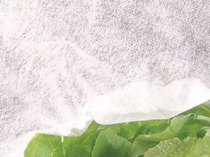 Folie Antiinghet (19 gr/mp) - cu margini dublate - Agril