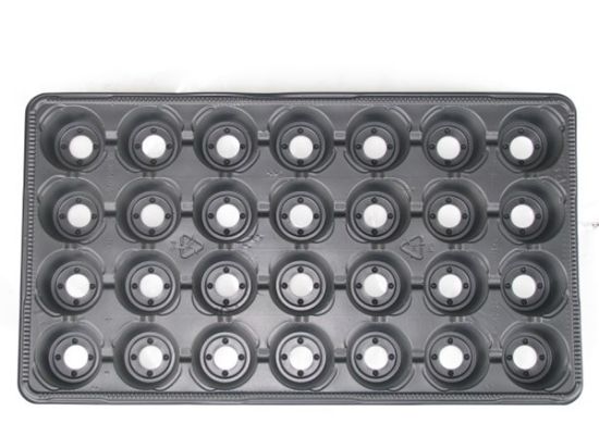 Poza cu Tavite Alveolare