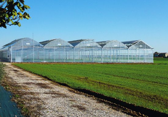 Poza cu Folie solar profesionala - 200 microni Pati Italia