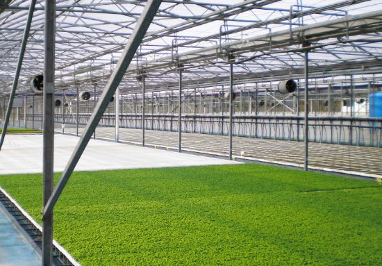 Poza cu Folie solar profesionala - 200 microni Pati Italia