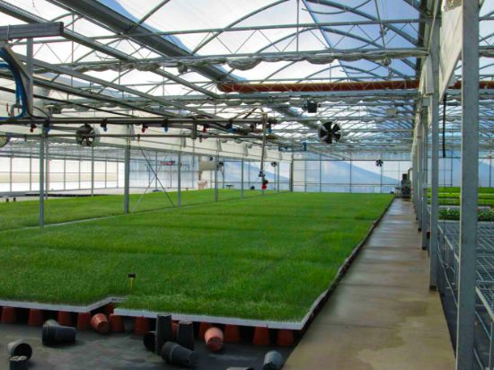 Poza cu Folie solar profesionala - 200 microni Pati Italia