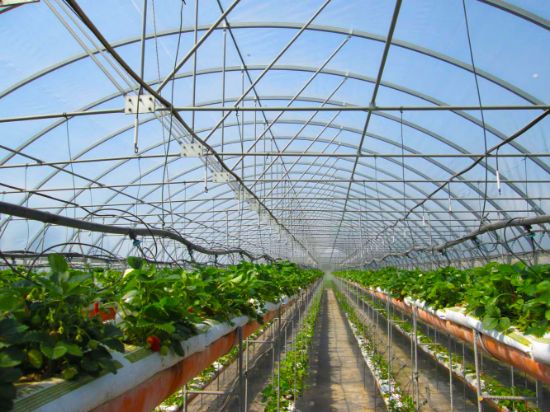 Poza cu Folie solar profesionala - 200 microni Pati Italia