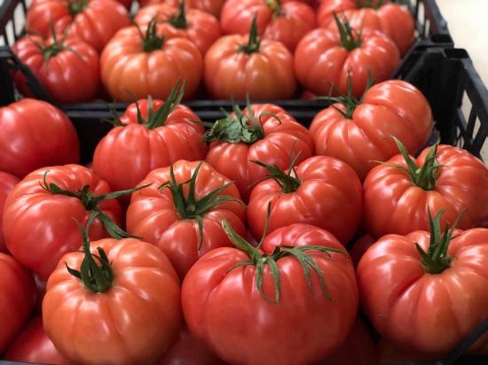 Poza cu Seminte de rosii roz crete Leroxy F1