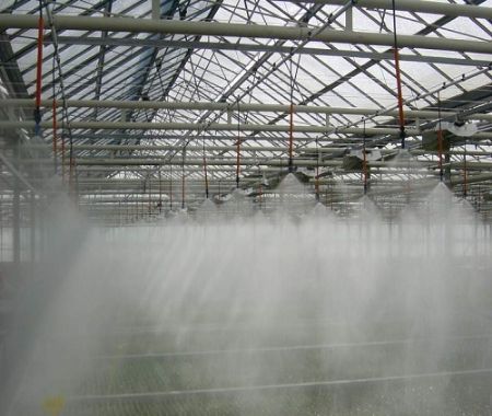 Poza pentru categoria Microaspersie, Ceata si Capilare