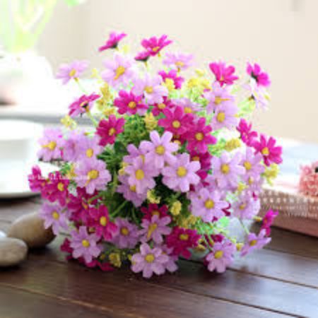 Poza pentru categoria Ghivece Rotunde