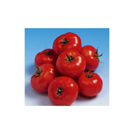 Poza pentru categoria Seminte de Rosii Determinate