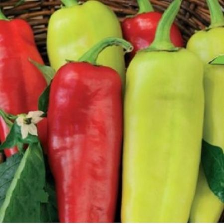 Poza pentru categoria Seminte Ardei Gras