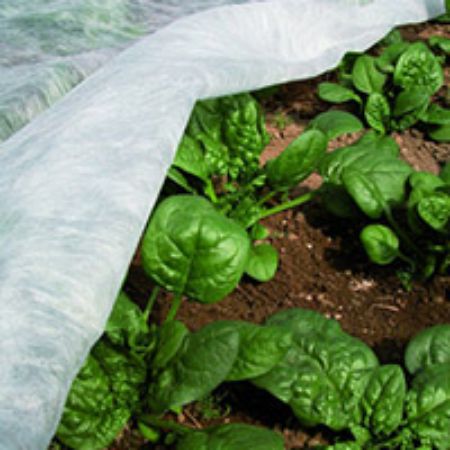 Poza pentru categoria Folii Microporoase Antiinghet